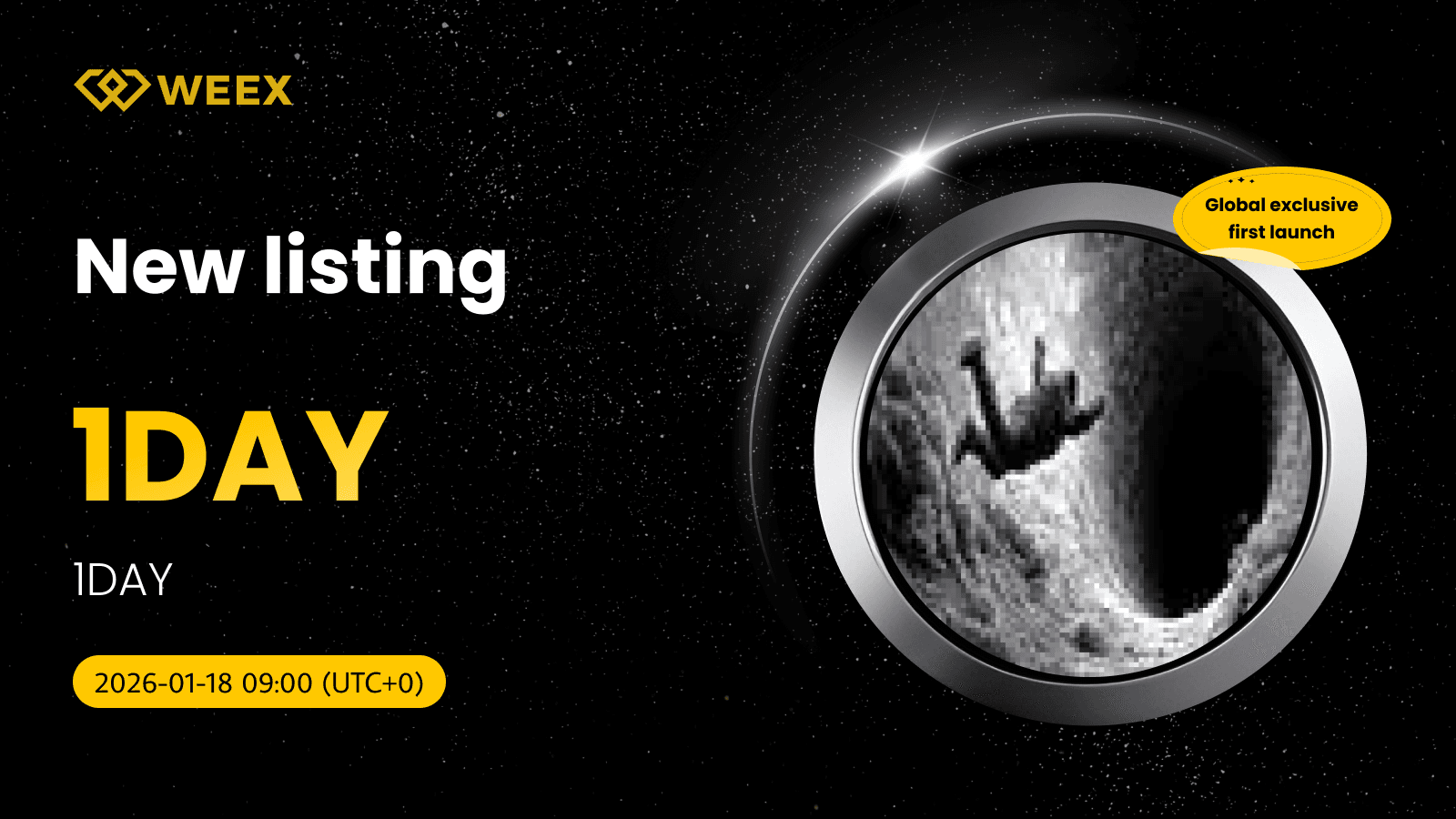 Exclusive 1DAY USDT Listing: Trade 1DAY Coin on WEEX
