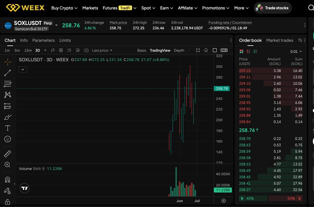Is SOXL a Good Investment? Direxion Daily Semiconductor Bull 3X ETF Risk and Strategy Guide