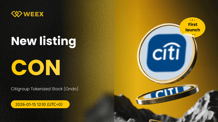 CON USDT Pair Listed: Citigroup Tokenized Stock on WEEX Spot