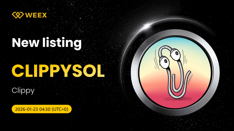 CLIPPYSOL USDT Trading Pair Listed on WEEX Spot