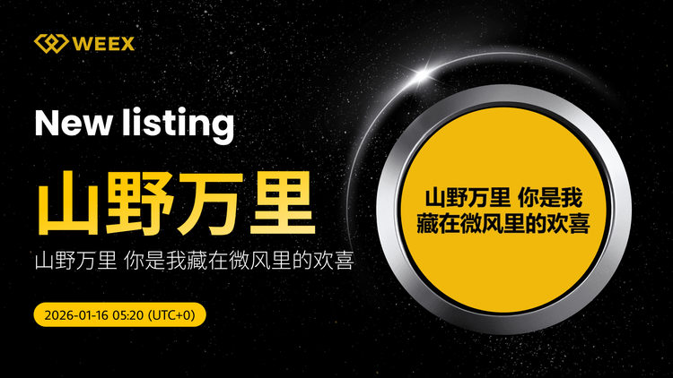 山野万里 USDT Gets Listed on WEEX Spot