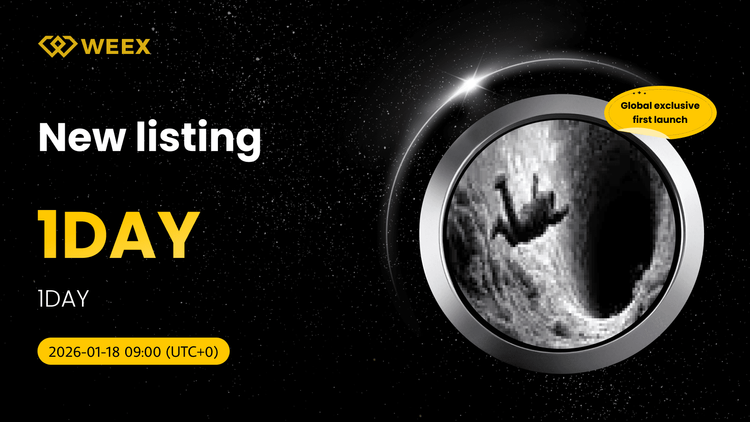 Exclusive 1DAY USDT Listing: Trade 1DAY Coin on WEEX