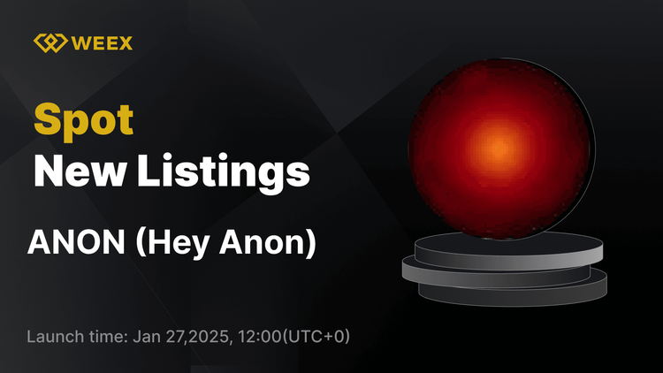  Hey Anon (ANON) Now Listed: ANON USDT Pair Trading Opens on WEEX