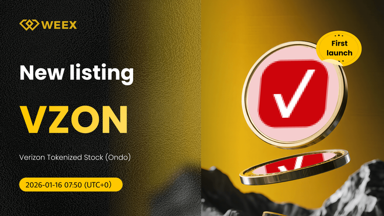 VZON USDT Spot Trading New Listed on WEEX Exchange