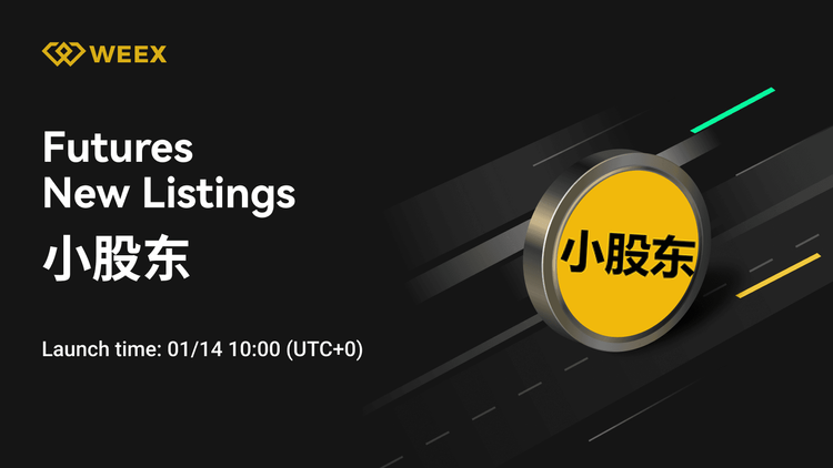 WEEX Launches 小股东 USDT: 小股东 Perpetual Contract