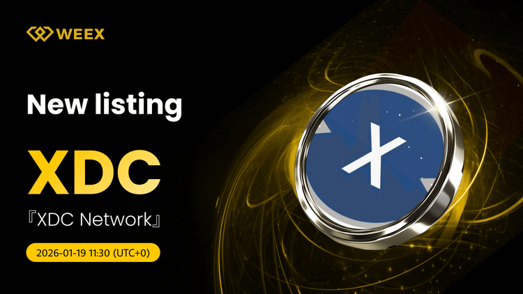 XDC USDT Pair Listed: Trade XDC Network Coin on WEEX Spot